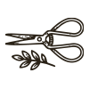 Shape icon: shears and sprig