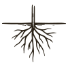 Tend icon: root system