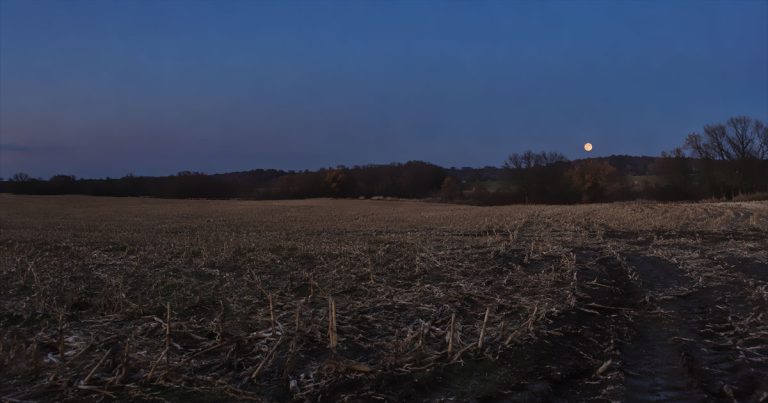 A hunter's moon rising over a bare autumn field