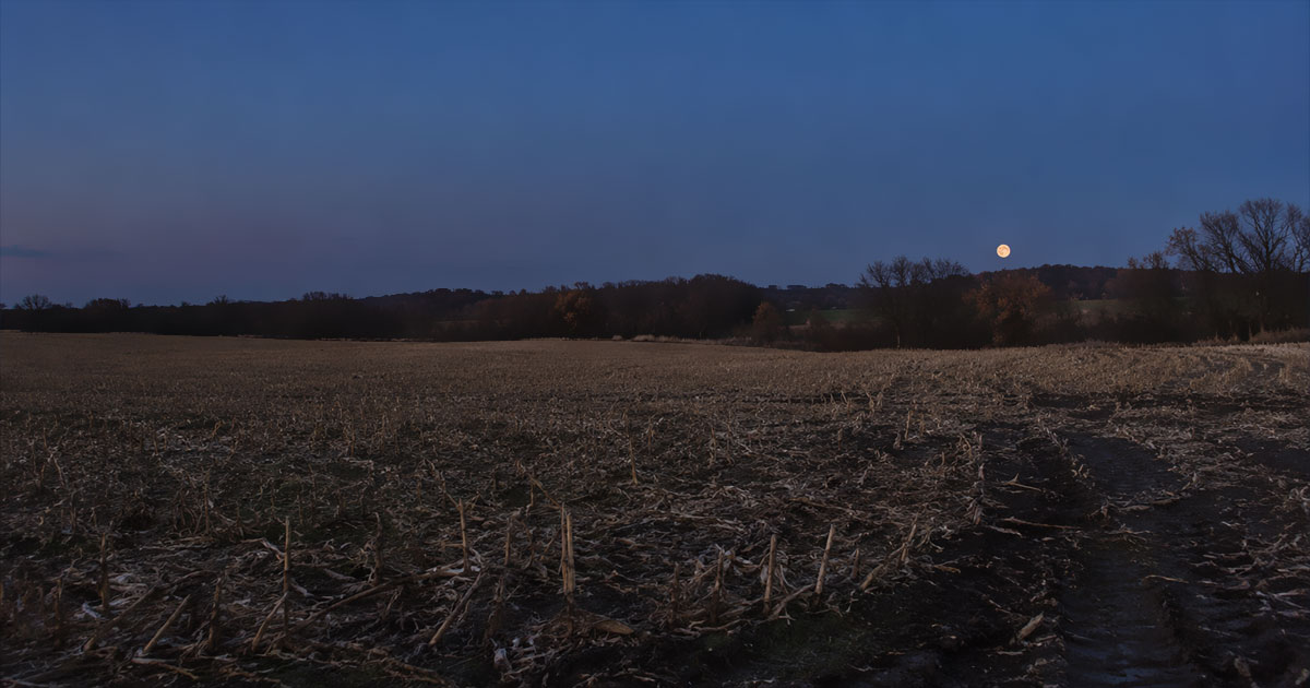 A hunter's moon rising over a bare autumn field