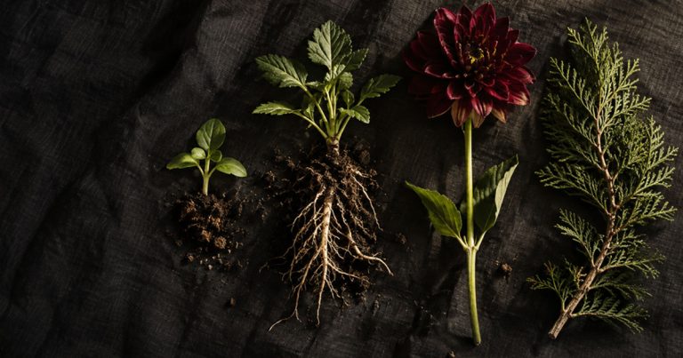 How Many Sow, Tend, Harvest, and Shape Days Are There in a Year?